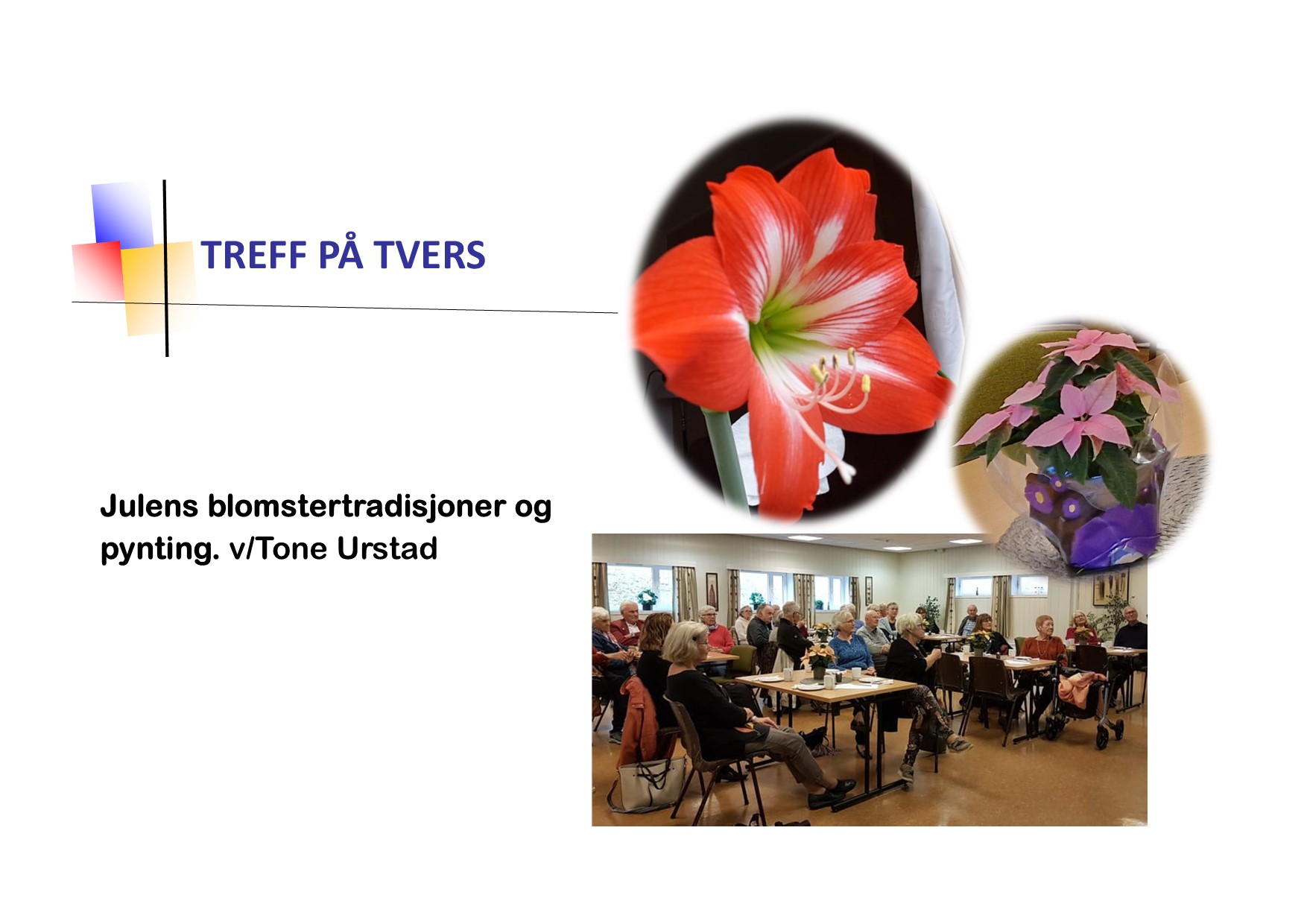 Treff på tvers i Ekholt kirke torsdag 1.desember kl. 12.00