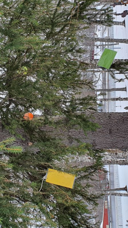 Påskevandring ved Salangen kirke