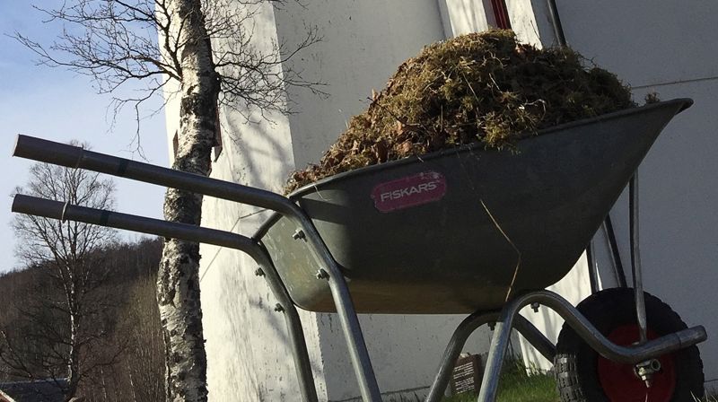 Vårdugnad på kirkegården