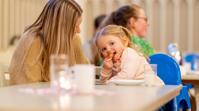 Illustrasjonsfoto: Pixabay