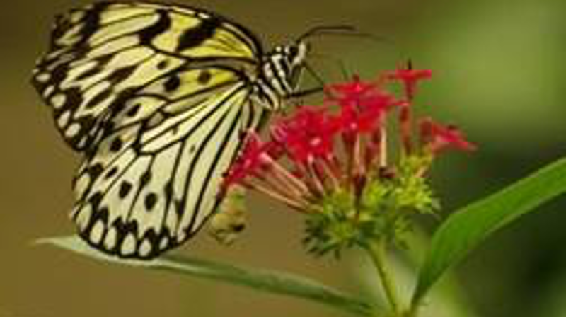 Bibelgruppen Underveis