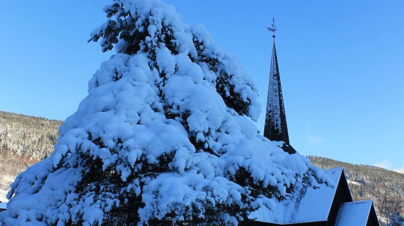 Foto: Randi Bakken Vassplassen