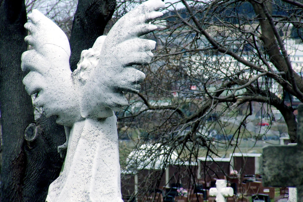 Verneplan for kirkegårdene i Stjørdal