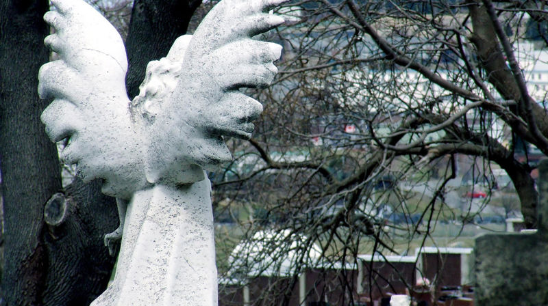 Verneplan for kirkegårdene i Stjørdal