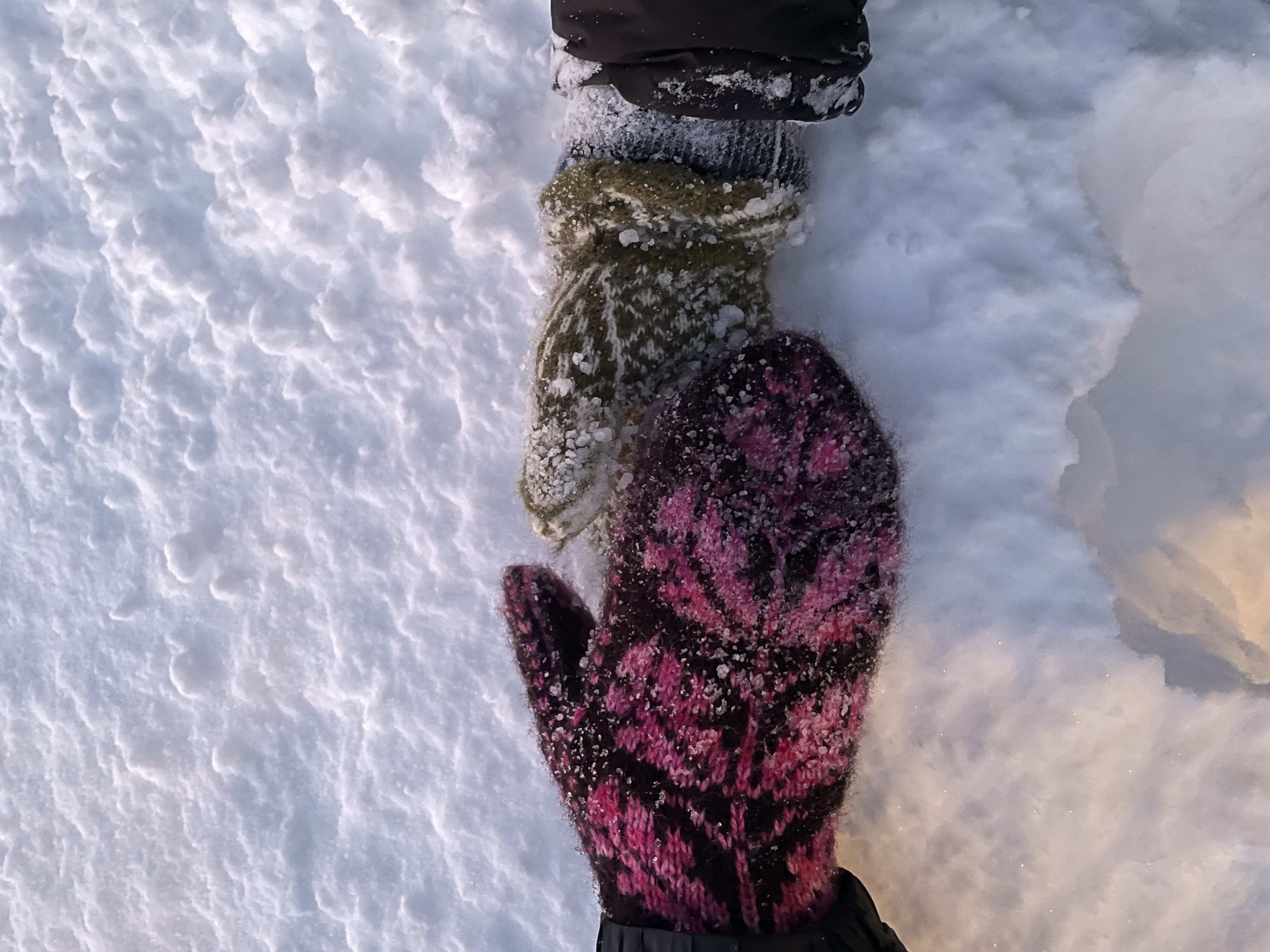 Sorggruppe for unge voksne