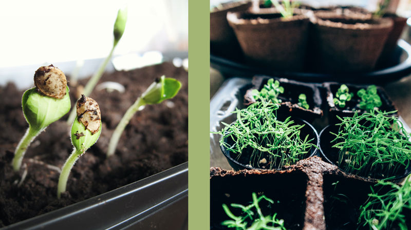 Fastetid - ei tid for ettertanke