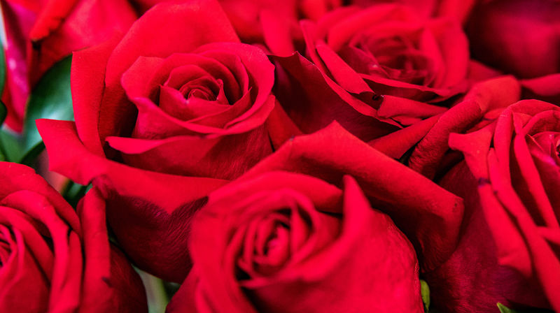 22. juli markering og open kyrkje