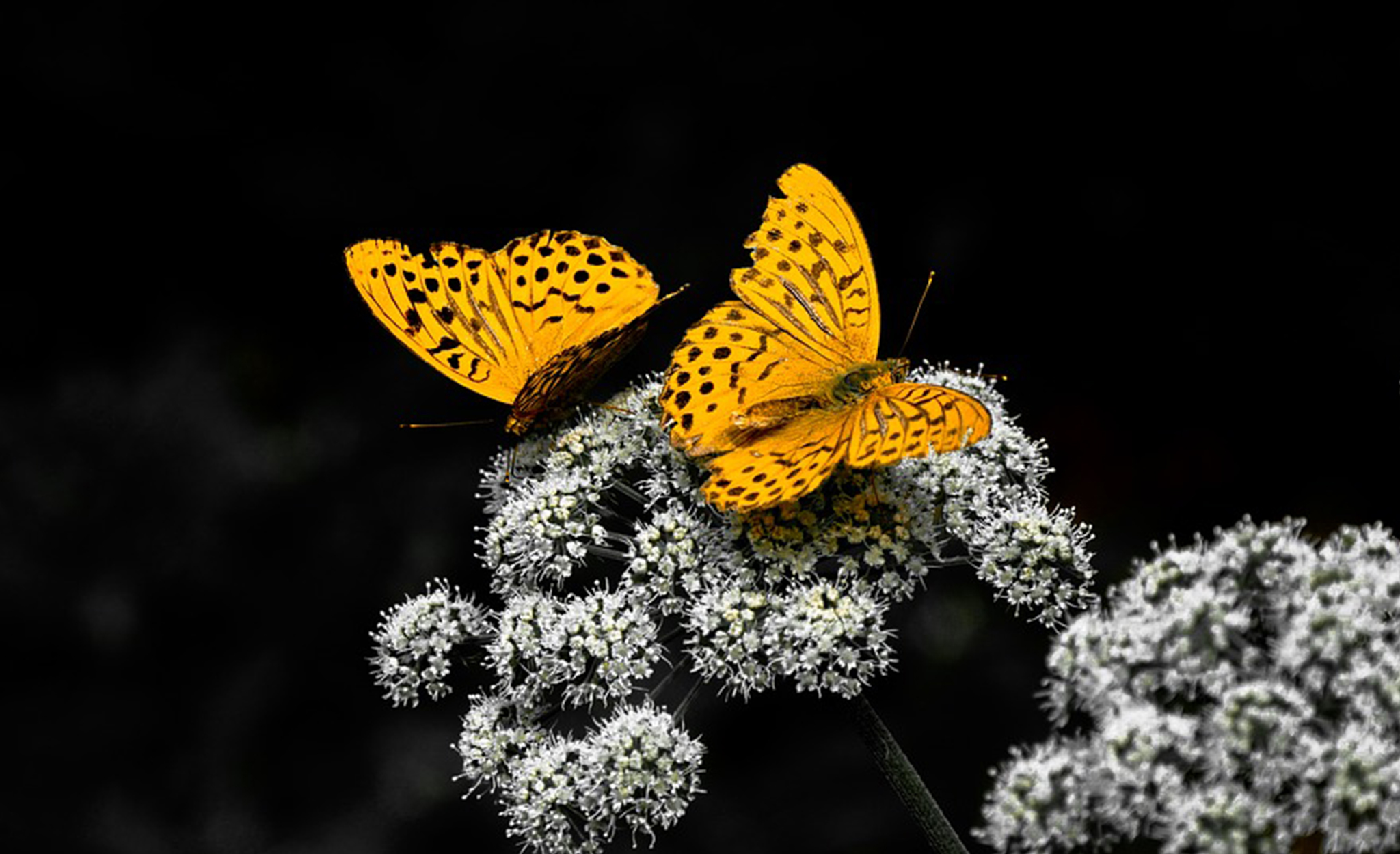 Velkomen til sorggruppe her på Sula. Oppstart veke 6. Meld deg på her.