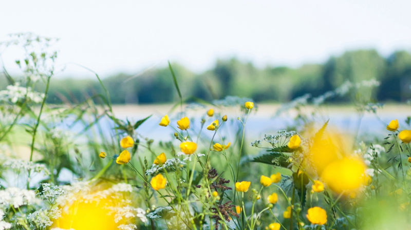 Gudsteneste sommar 2024