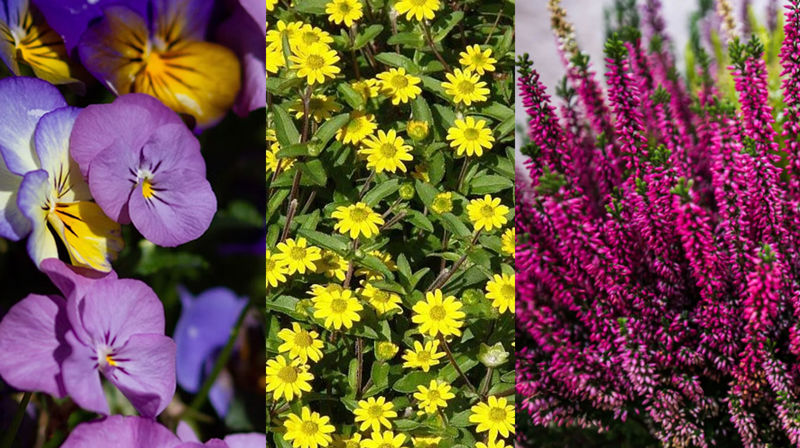 Her kan du bestille gravstell