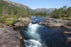 Sommar i Sunnfjord (Gaularfjellet)