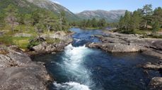 Sommar i Sunnfjord (Gaularfjellet)