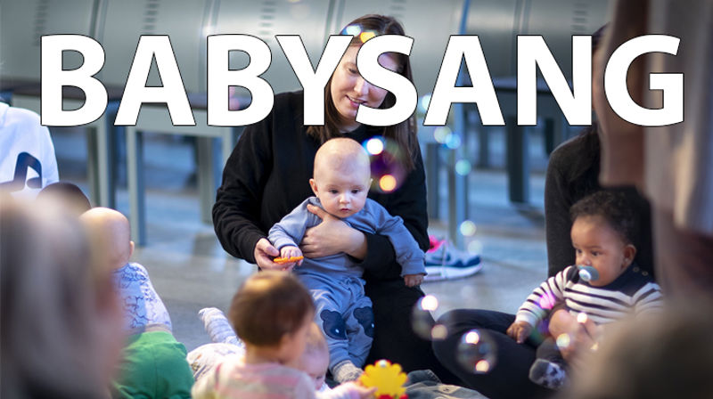 Babysang våren 2025