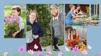 Nå dufter det av dill, rosmarin, timian, løk og lakris rundt kirka – og til neste år blomstrer epletrærne