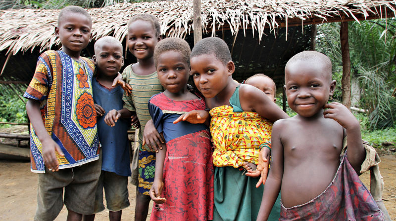 TV-aksjonen - et kjempeløft for regnskogen