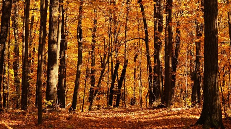 Kulturkveld i Berg kirke mandag 9. oktober kl 19. Med sanger fra bedehuset