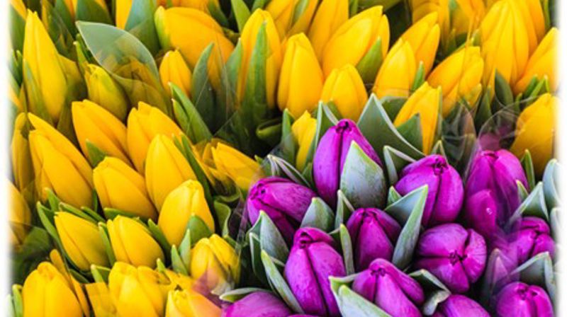 Årsberetning 2024 Berg menighet