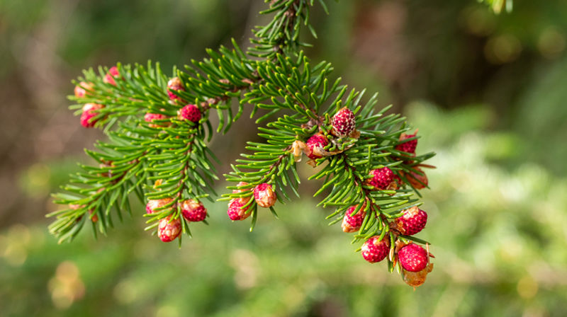 Sommerens gudstjenester