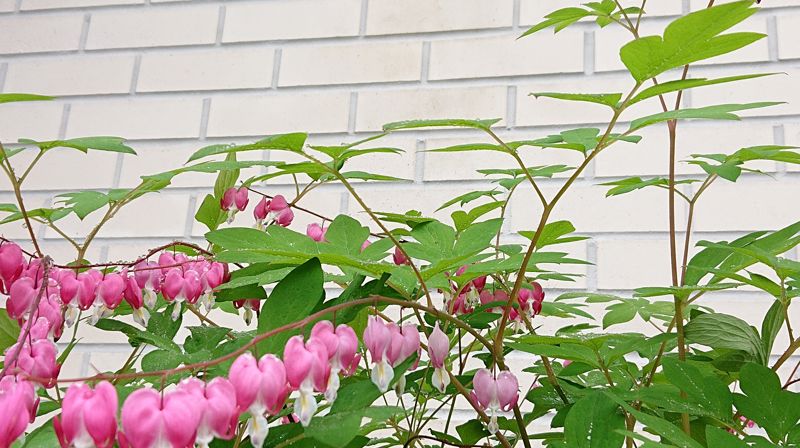 Sommeren 2022 - åpningstider og gudstjenester