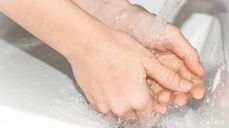 Foto: Pezibear fra Pixabay