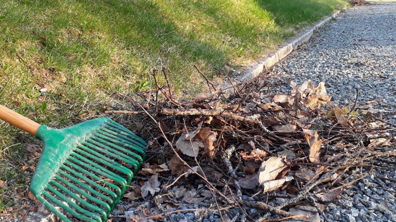 Dugnad på kirkegården