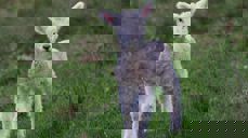 Foto: Bill Fairs / unsplash.com