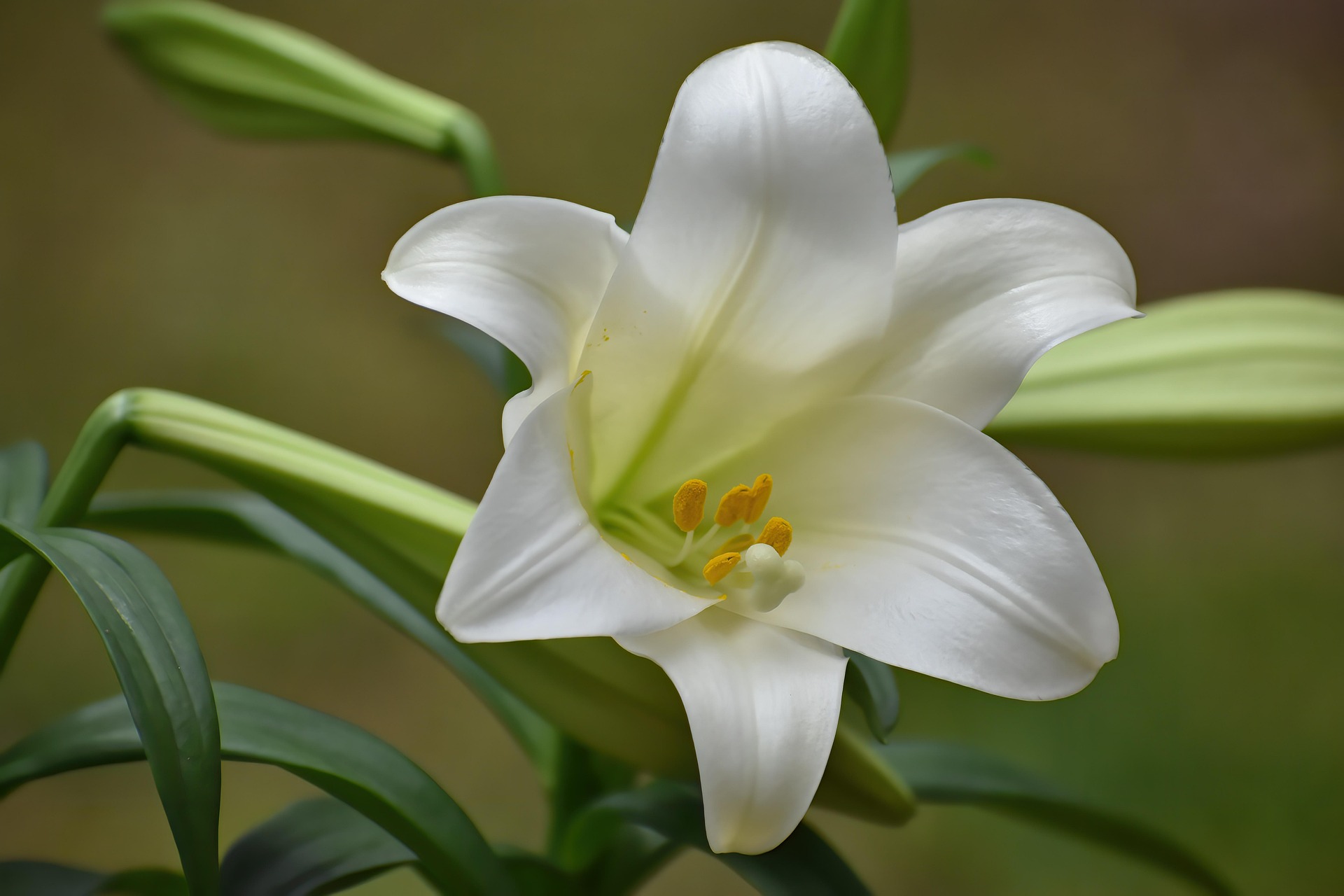 Påsken i Klæbu menighet
