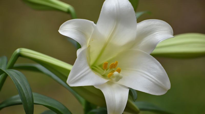 Påsken i Klæbu menighet