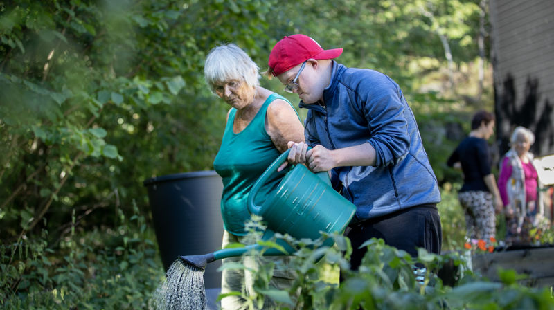 Frivillig i Nidelven menighet