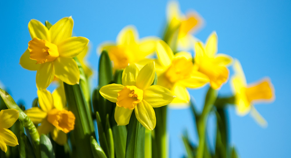 Formiddagstreff og hyggetreff våren 2026