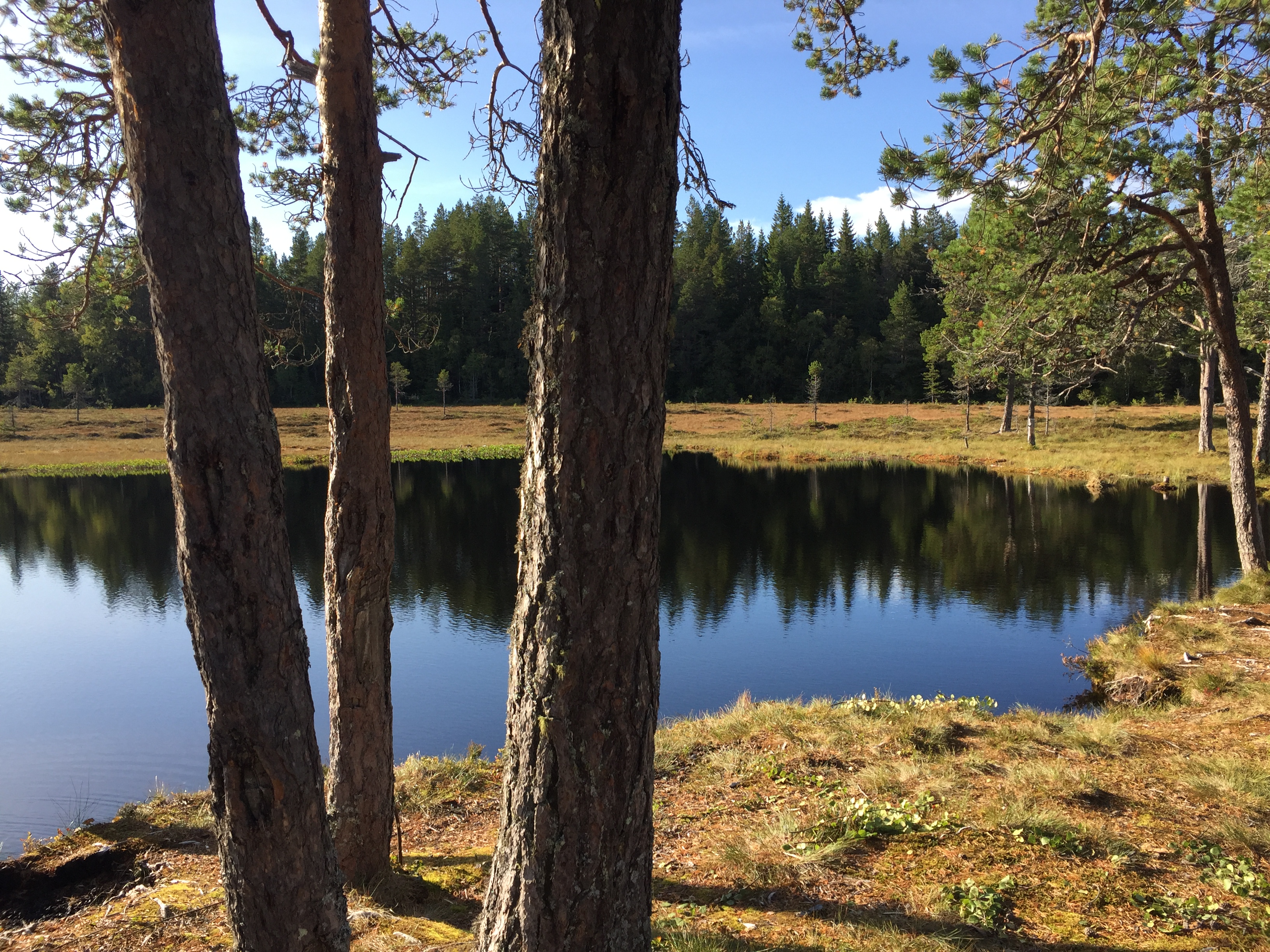 HVERDAGSMESSE MED DYPDYKK - Program for våren 2026
