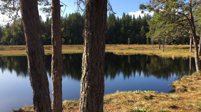 HVERDAGSMESSE MED DYPDYKK - Program for våren 2026