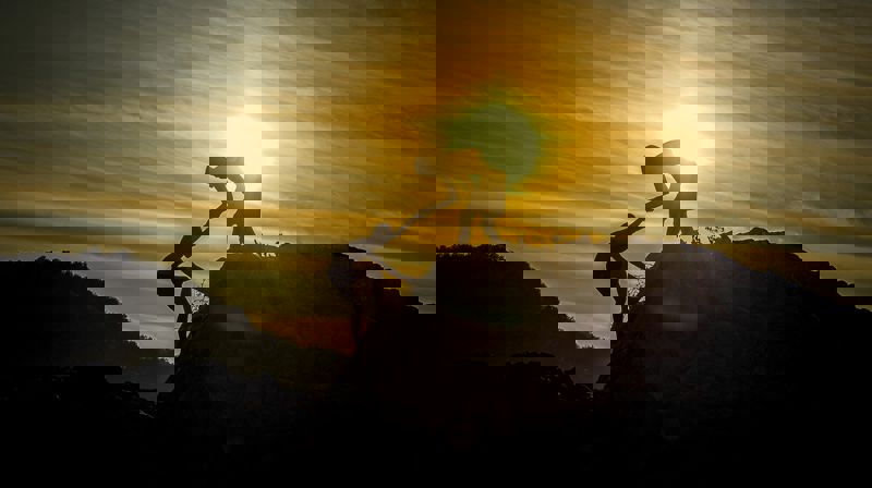 Foto: Sasin Tipchai - pixabay.com