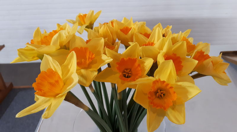 KRISTUS ER OPPSTANDEN!