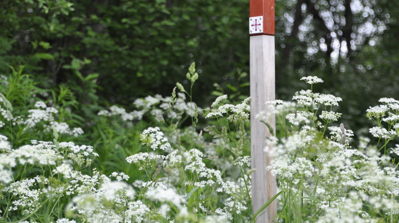 Pilegrimsvandring 3. august