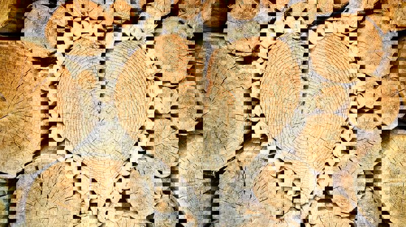 Ønsker du å gi et bidrag?