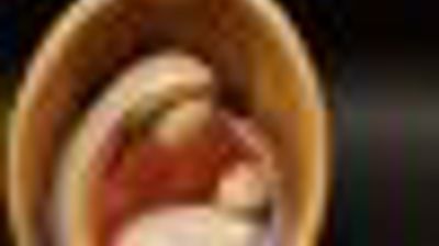 Andakt av biskop Herborg Finnset