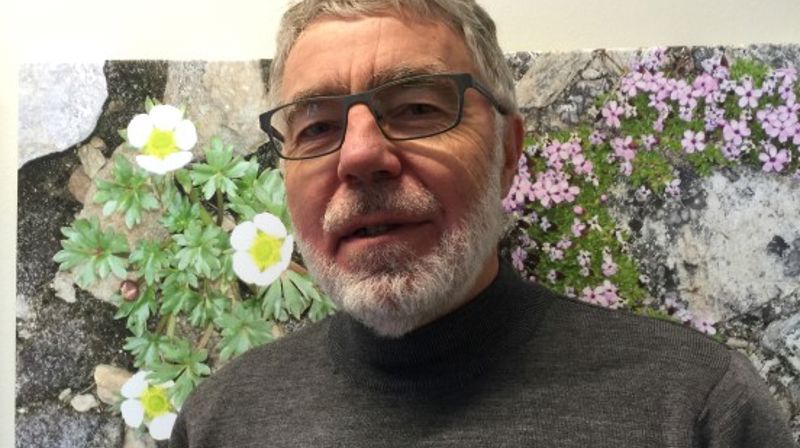 Svein Willy Danielsen, Tiller menighet - nyvalgt leder av Kirkelig fellesråd i Trondheim