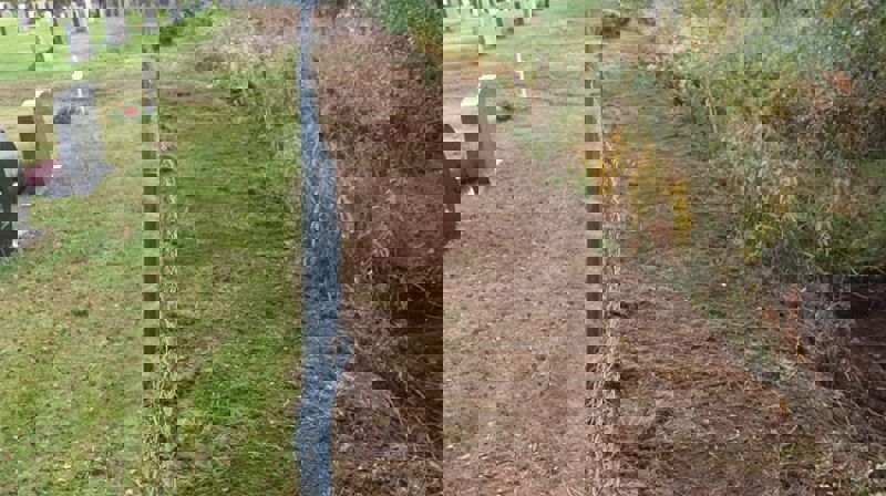 Foto: Jørn Ståle Sørensen