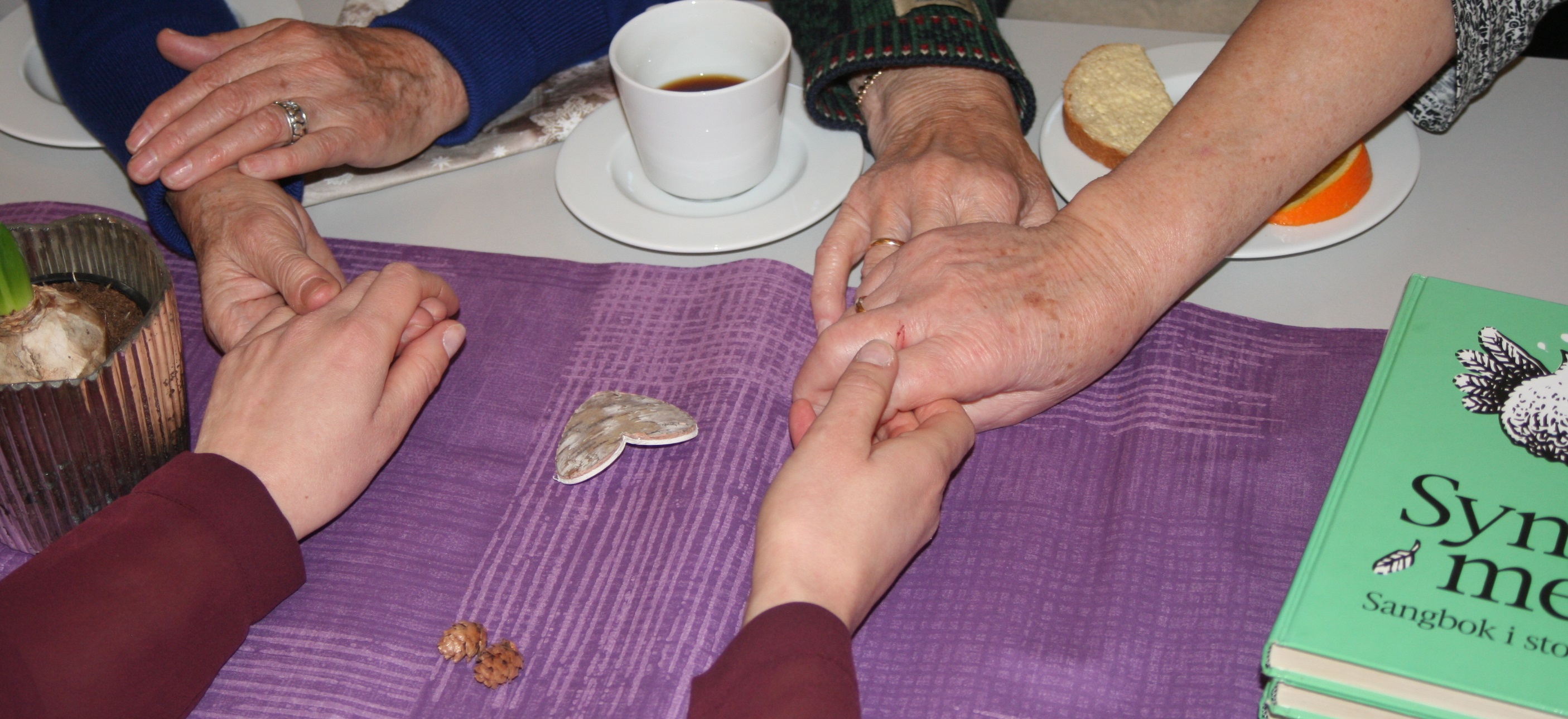 Diakoni - kirkens omsorgstjenestse