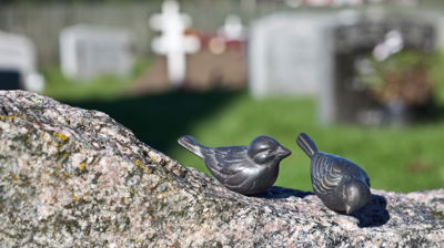 Temakveld om tapserfaringer, sorg og håp