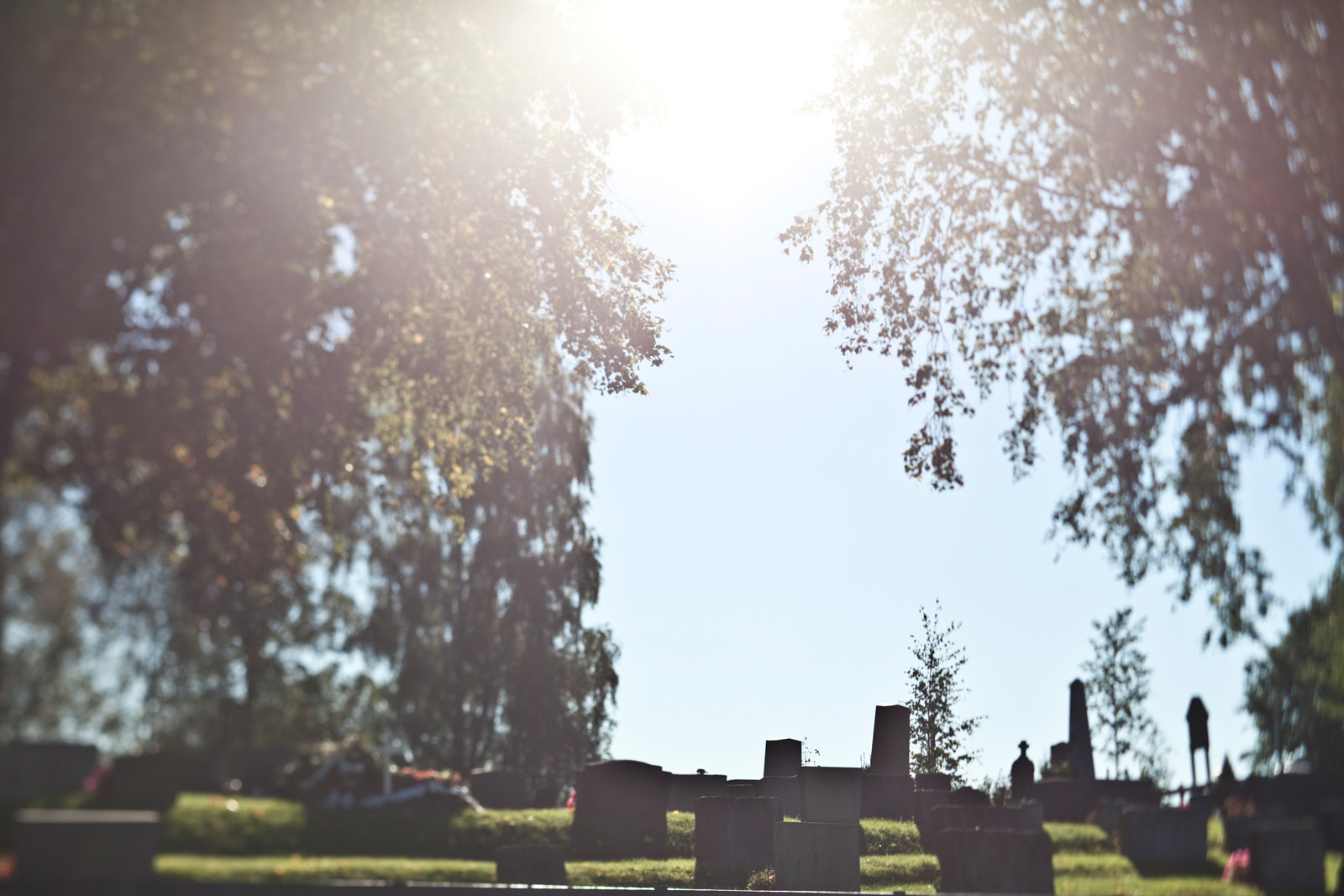 Navnet minnelund på Hovin og Ullensaker