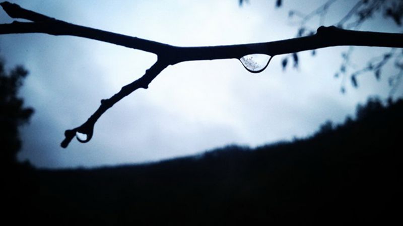 Tilbud om sorggrupper