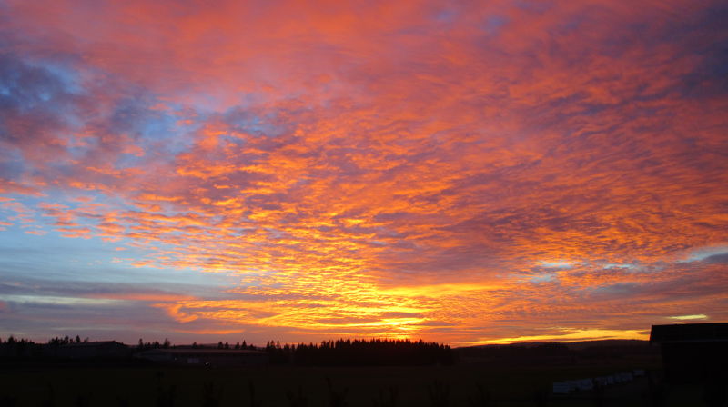 Søndagstanker 10. desember 2017