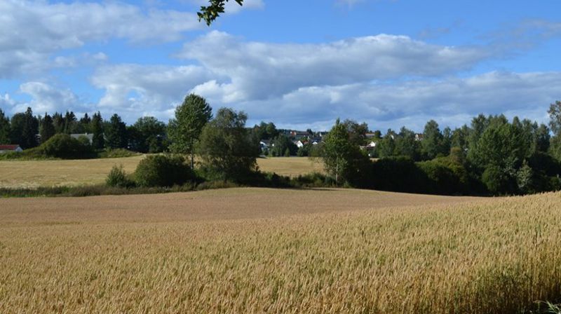 Søndagstanker 7. juli 2019