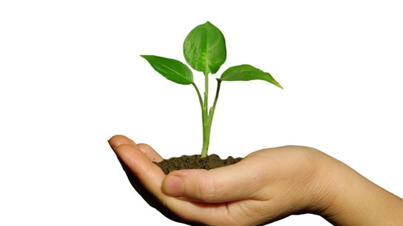 Fast givertjeneste i Hovin menighet