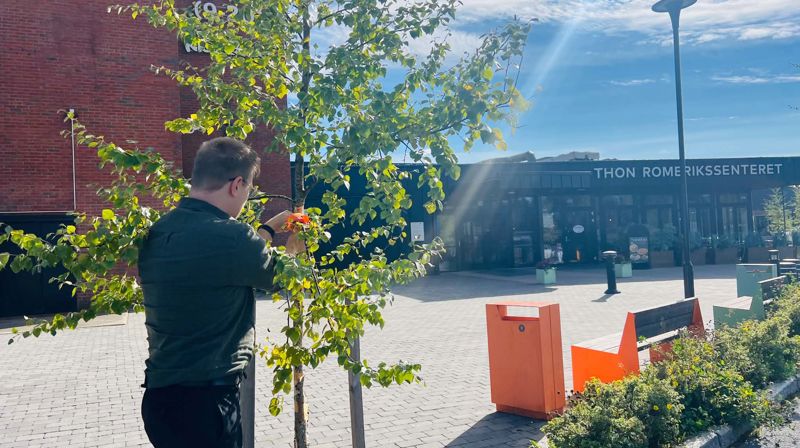 Knyt et bånd for livet- en markering for håp, omtanke og fellesskap