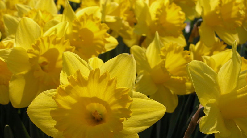 Opningstider kyrkjekontoret