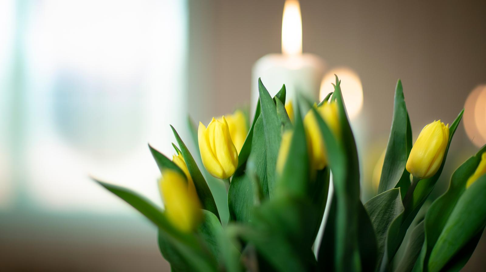 Foto: Ressursbanken DNK, Bo Mathisen.