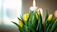 Foto: Ressursbanken DNK, Bo Mathisen.